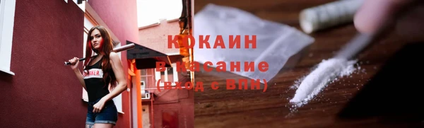 тгк Няндома