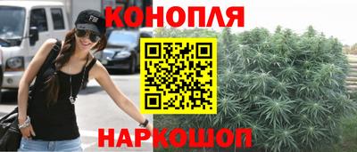 спайс Гай