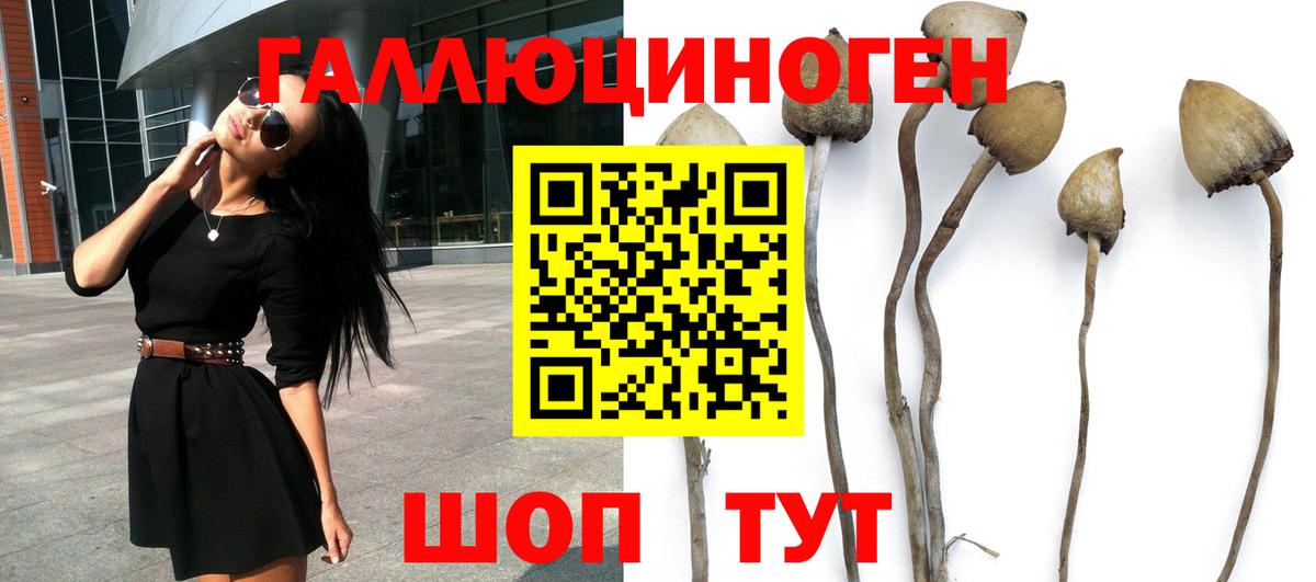 Галлюциногенные грибы MAGIC MUSHROOMS Ирбит