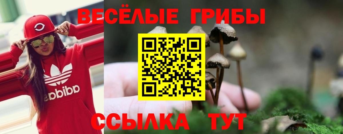 Ирбит  Псилоцибиновые грибы GOLDEN TEACHER  Вход с VPN  Псилоцибиновые грибы Psilocybine cubensis 